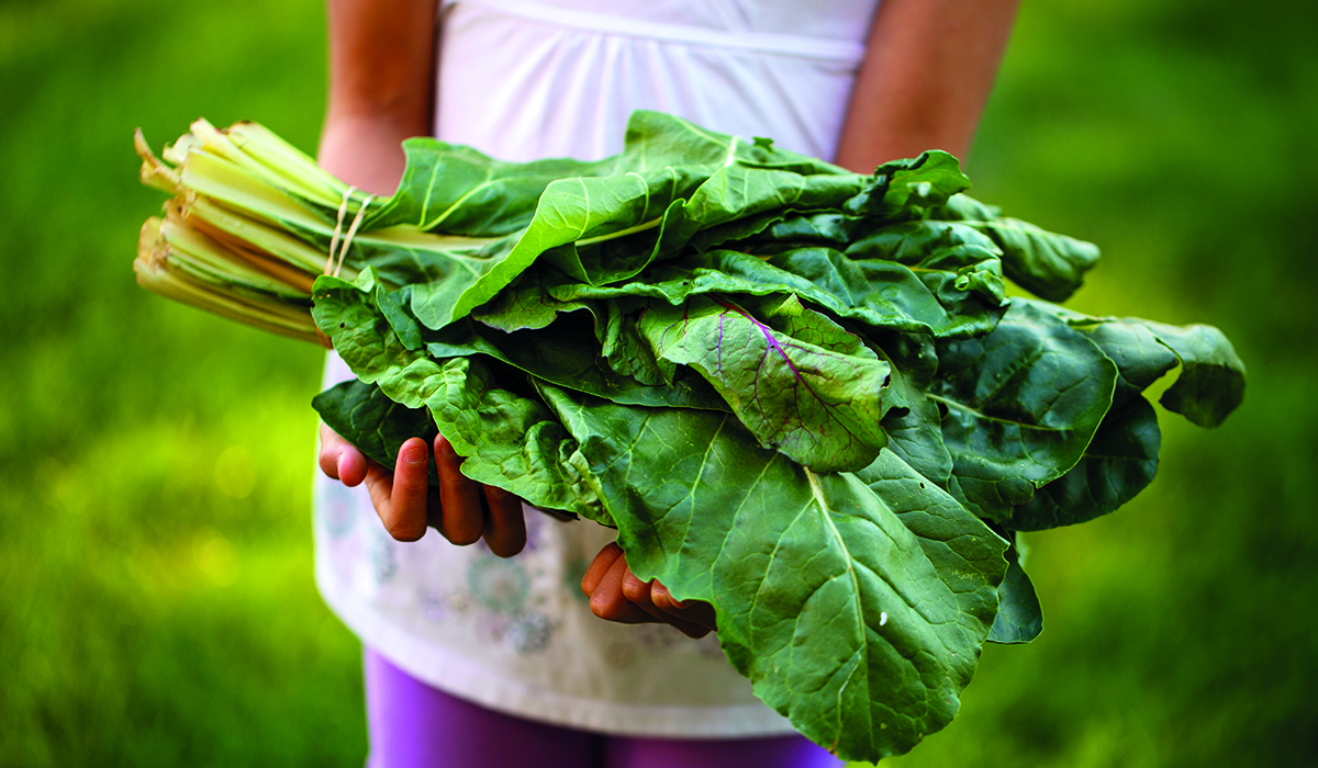 Niña con acelgas - alimentación limpia